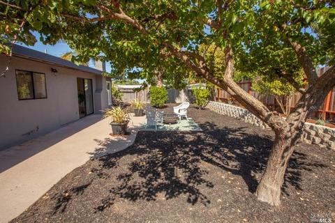 505 Eldridge Ave, Novato, CA 94947 photo 16