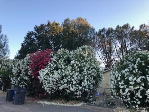 3617 Madison Dr, Clearlake, CA 95422 photo 7