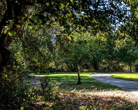 783 Dizzy Gillespie Way, Windsor, CA 95492 photo 10