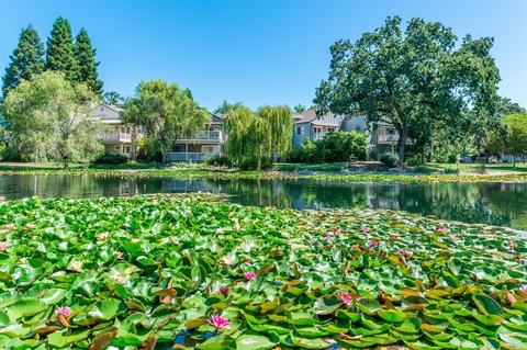 1106 Princeton Dr, Sonoma, CA 95476 photo 4