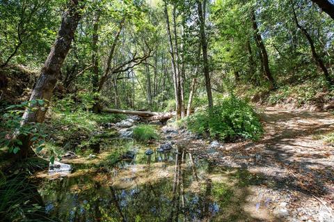 Undisclosed, Healdsburg, CA 95448 photo 46