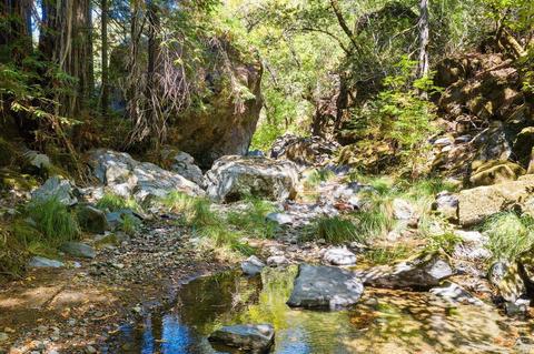 Undisclosed, Healdsburg, CA 95448 photo 47