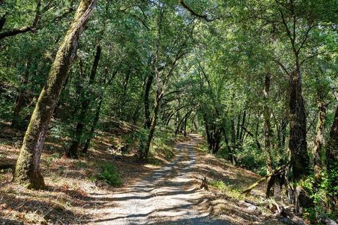 Undisclosed, Healdsburg, CA 95448 photo 45