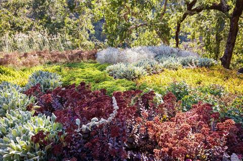Undisclosed, Healdsburg, CA 95448 photo 26