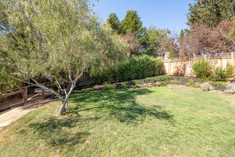 208 Almonte Blvd, Mill Valley, CA 94941 photo 19
