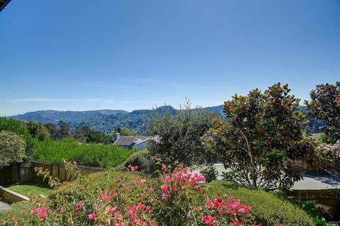 99 Skyline Ter, Mill Valley, CA 94941 photo 41