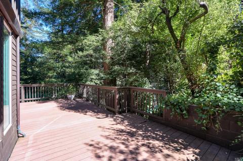 165 Marion Ave, Mill Valley, CA 94941 photo 18