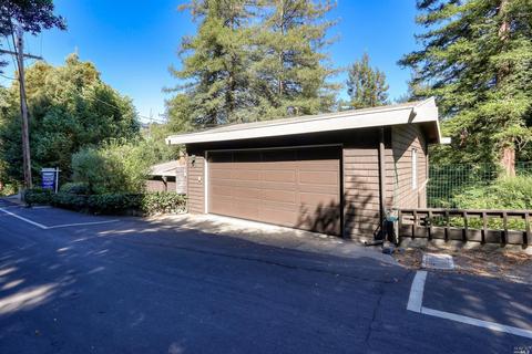 165 Marion Ave, Mill Valley, CA 94941 photo 34