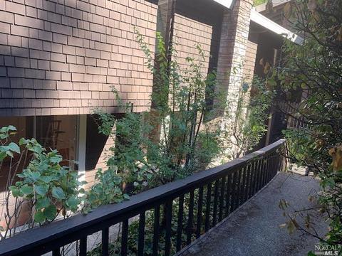 165 Marion Ave, Mill Valley, CA 94941 photo 3