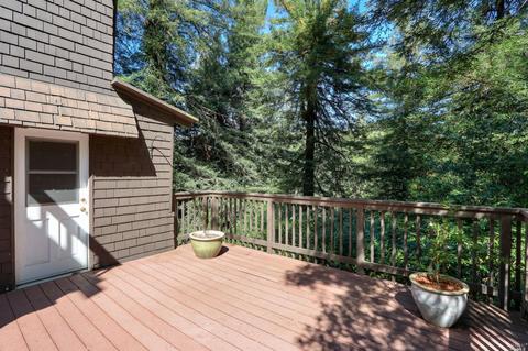 165 Marion Ave, Mill Valley, CA 94941 photo 19