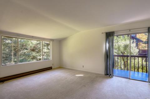 165 Marion Ave, Mill Valley, CA 94941 photo 21