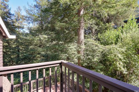 165 Marion Ave, Mill Valley, CA 94941 photo 24