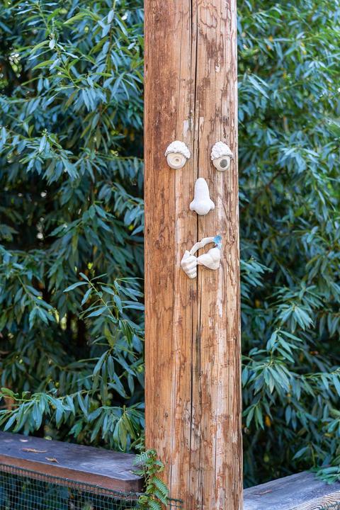 Undisclosed, Monte Rio, CA 95462 photo 37