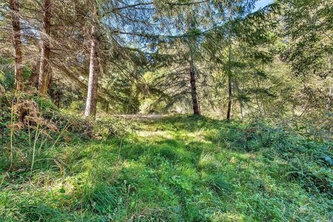 830 Salmon Creek Rd, Occidental, CA 95465 photo 30