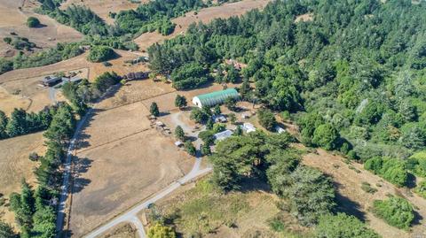 830 Salmon Creek Rd, Occidental, CA 95465 photo 33