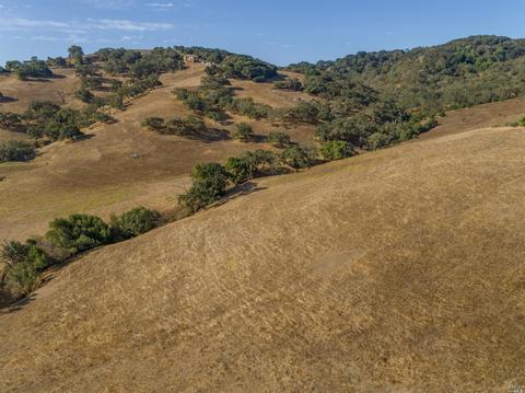 1237 B St, Petaluma, CA 94952 photo 4