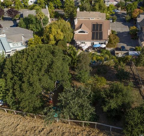 1237 B St, Petaluma, CA 94952 photo 5