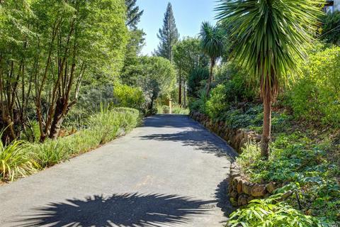 340 Magee Ave, Mill Valley, CA 94941 photo 44