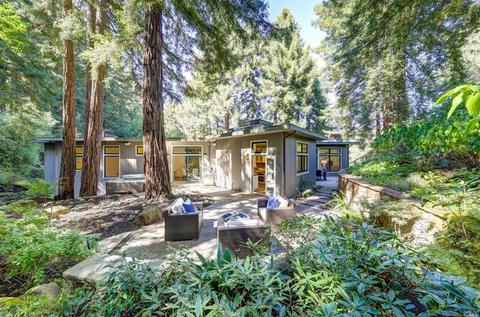 340 Magee Ave, Mill Valley, CA 94941 photo 35
