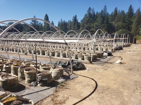 Undisclosed, Willits, CA 95490 photo 12