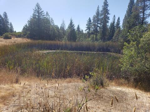 Undisclosed, Willits, CA 95490 photo 14