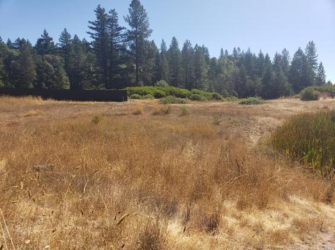 Undisclosed, Willits, CA 95490 photo 15