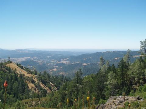 9745 Pine Flat Rd, Healdsburg, CA 95448 photo 2