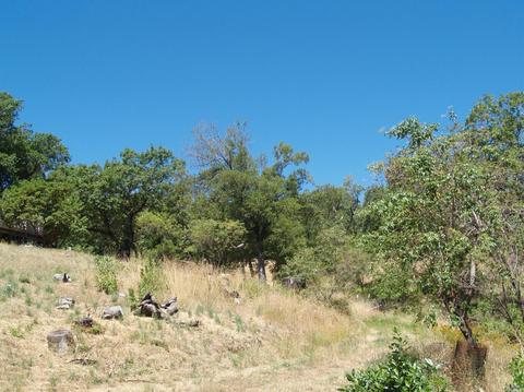 9745 Pine Flat Rd, Healdsburg, CA 95448 photo 9