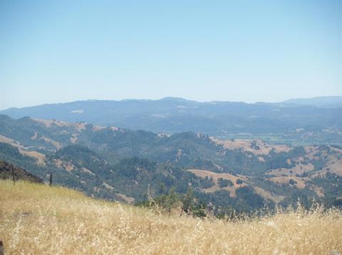 9745 Pine Flat Rd, Healdsburg, CA 95448 photo 23
