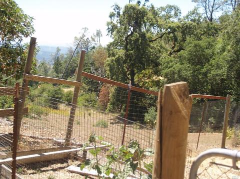 9745 Pine Flat Rd, Healdsburg, CA 95448 photo 17