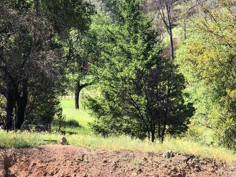 9745 Pine Flat Rd, Healdsburg, CA 95448 photo 27
