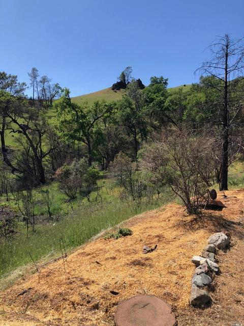 9745 Pine Flat Rd, Healdsburg, CA 95448 photo 32
