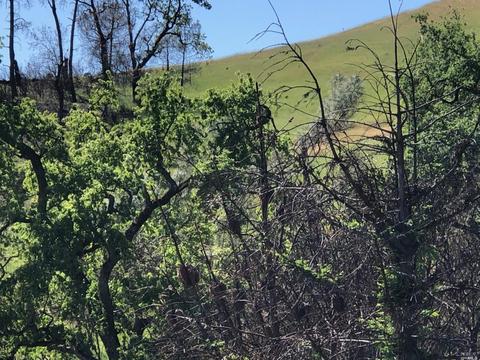 9745 Pine Flat Rd, Healdsburg, CA 95448 photo 28