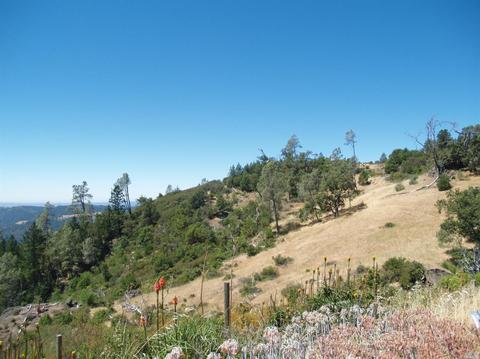 9745 Pine Flat Rd, Healdsburg, CA 95448 photo 5