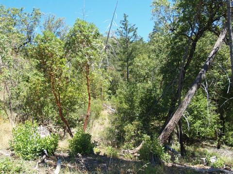 9745 Pine Flat Rd, Healdsburg, CA 95448 photo 10