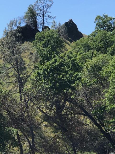 9745 Pine Flat Rd, Healdsburg, CA 95448 photo 26