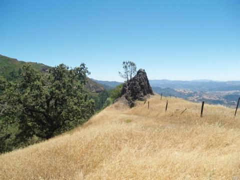 9745 Pine Flat Rd, Healdsburg, CA 95448 photo 18