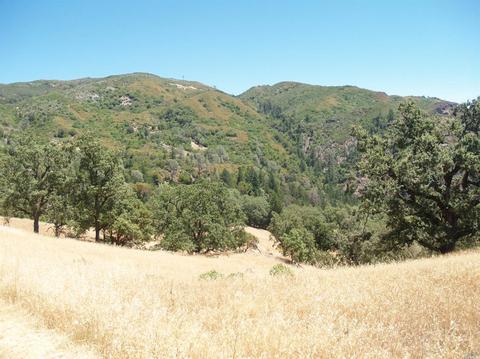 9745 Pine Flat Rd, Healdsburg, CA 95448 photo 20