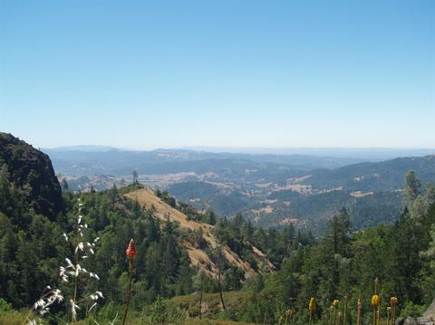 9745 Pine Flat Rd, Healdsburg, CA 95448 photo 1