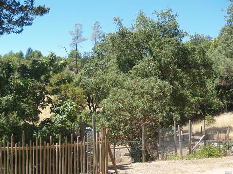 9745 Pine Flat Rd, Healdsburg, CA 95448 photo 14