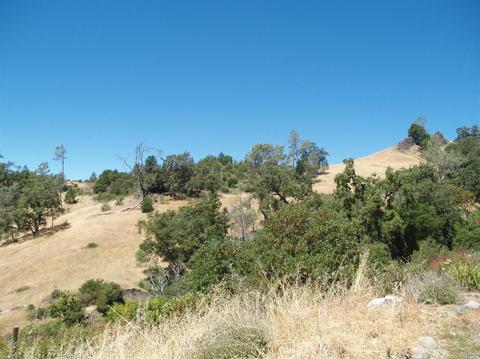 9745 Pine Flat Rd, Healdsburg, CA 95448 photo 8