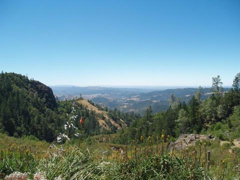 9745 Pine Flat Rd, Healdsburg, CA 95448 photo 4