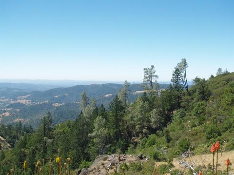 9745 Pine Flat Rd, Healdsburg, CA 95448 photo 3