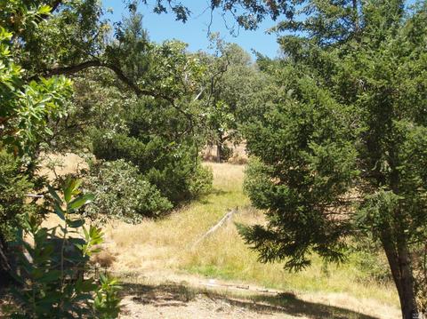 9745 Pine Flat Rd, Healdsburg, CA 95448 photo 21