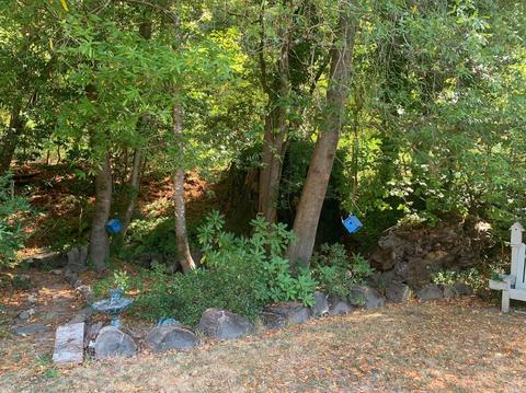 20171 Willow Rd, Monte Rio, CA 95462 photo 18