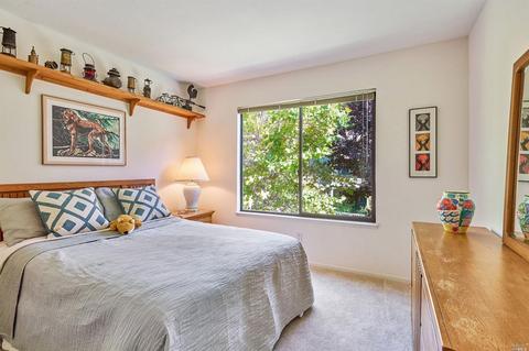 5 Eagle Gap Rd, Novato, CA 94949 photo 23