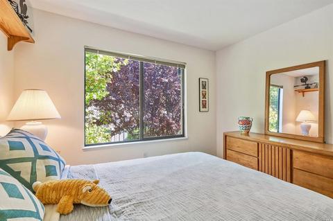 5 Eagle Gap Rd, Novato, CA 94949 photo 24