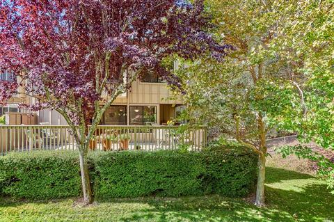 5 Eagle Gap Rd, Novato, CA 94949 photo 17