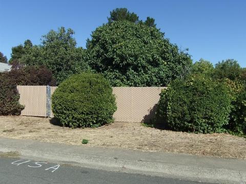 560 Zinfandel Dr, Ukiah, CA 95482 photo 14