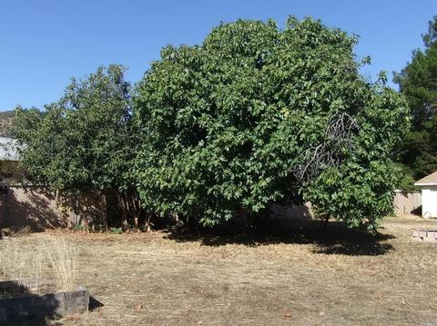 560 Zinfandel Dr, Ukiah, CA 95482 photo 10